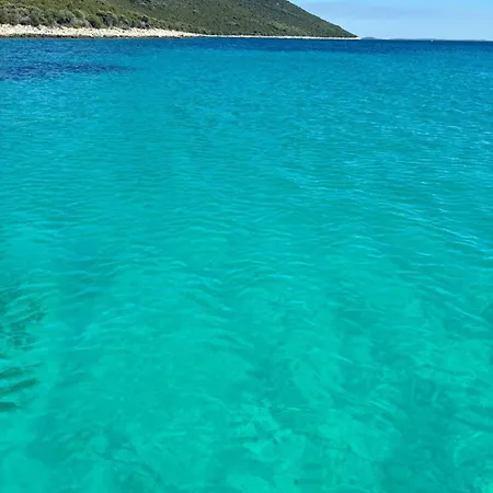 Tatil Evi Maare Ist